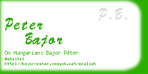 peter bajor business card
